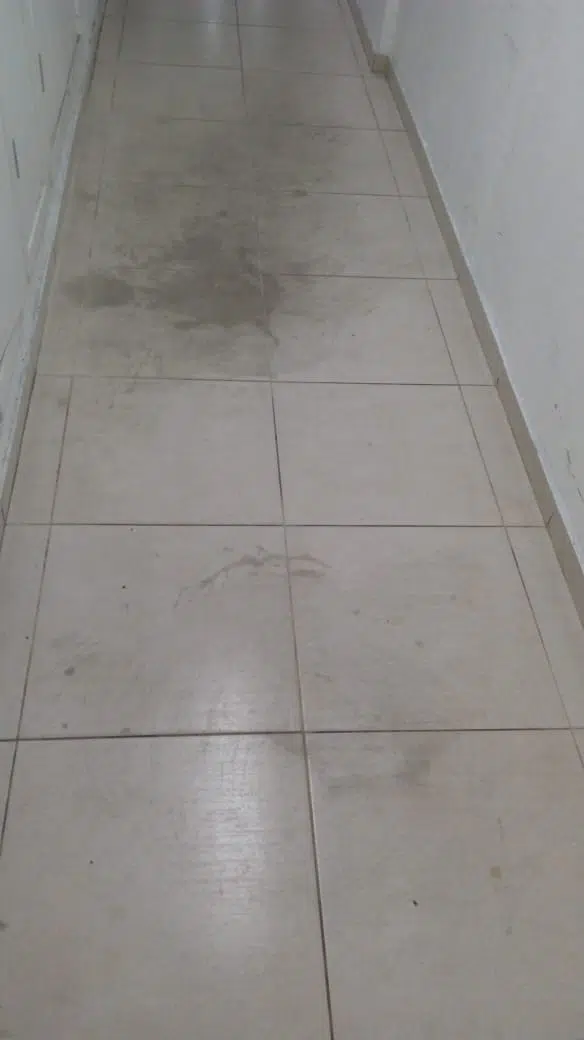 Piso depois da limpeza